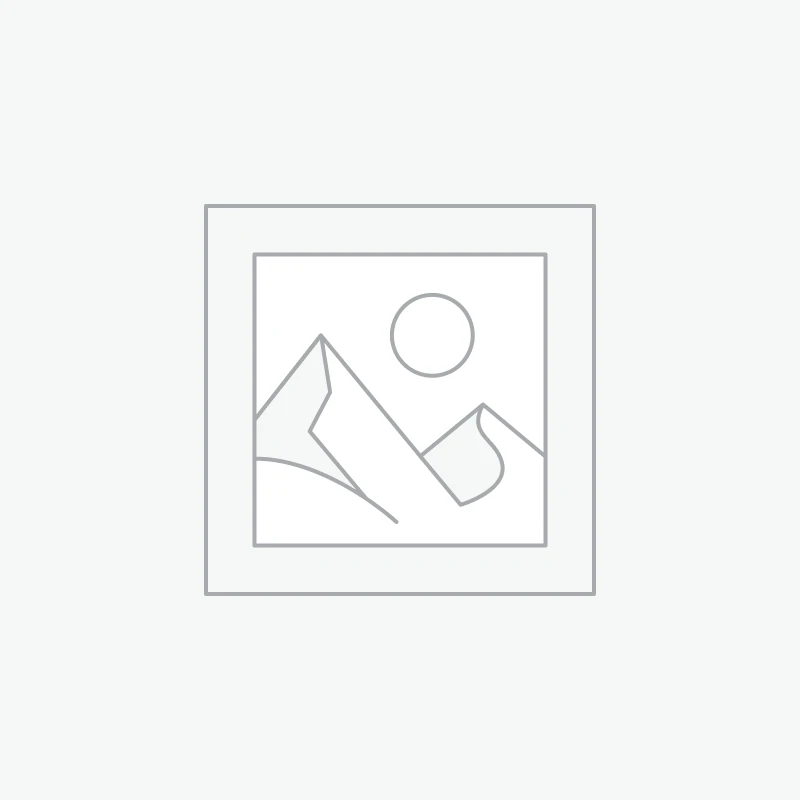 Elegant Green Glass & Wood Vase Set – Two Sizes