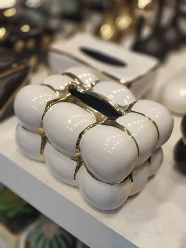 luxury-porcelain-tissue-box-with-modern-design-golden-highlights-1 Luxury Porcelain Tissue Box with Modern Design & Golden Highlights